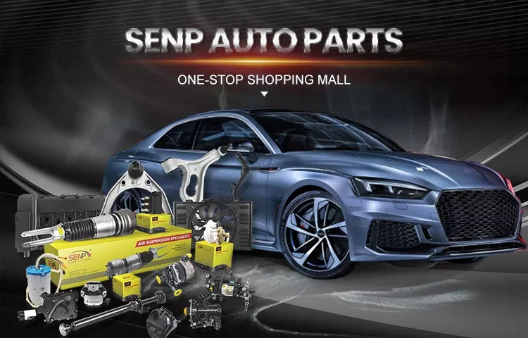 Senp Car Parts Fuel Pump Wholesale Auto Spare Parts 5n0919109f Fuel System Fuel Pump Assembly High Quality Audi Q3 VW Volkswagen Tiguan