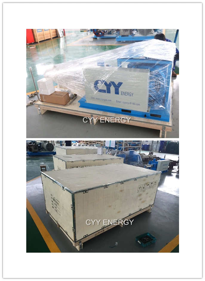 Cryogenic Lo2 Ln2 Lar Coolant Oil Water Centrifugal Pump